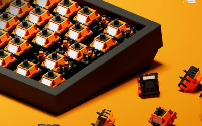 FOCUS Series : HE Switches